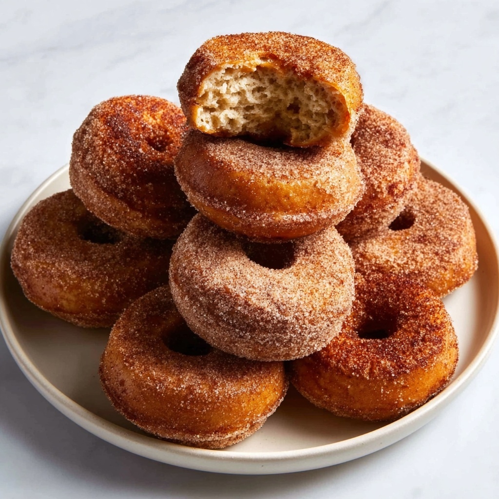 Baked Apple Cider Donuts with Cinnamon-Spice Sugar Coating Recipe - Recipe Image